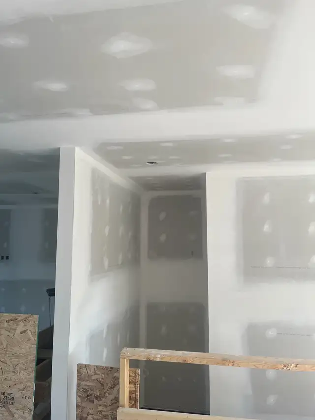 Professional Drywaller524412500721674245