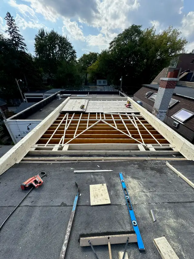 Experienced Framer/ Carpenter 548407826470021122