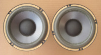 Bravox 6FCSR Speakers From PSB Speaker Cabinet