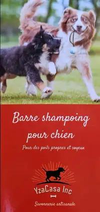 Shampoing bio pour chiens