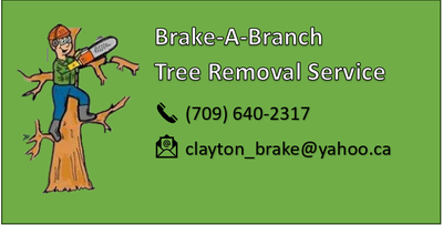 Tree removal, View more