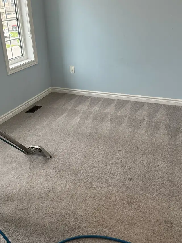 carpet, sofa, tiles and mattresses cleaning 63235550984451123