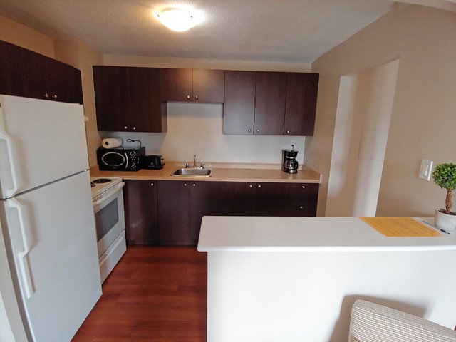 Byward Market Fully Furnished All Inclusive 2 Bedroom Mar.1 in Short Term Rentals in Ottawa - Image 3