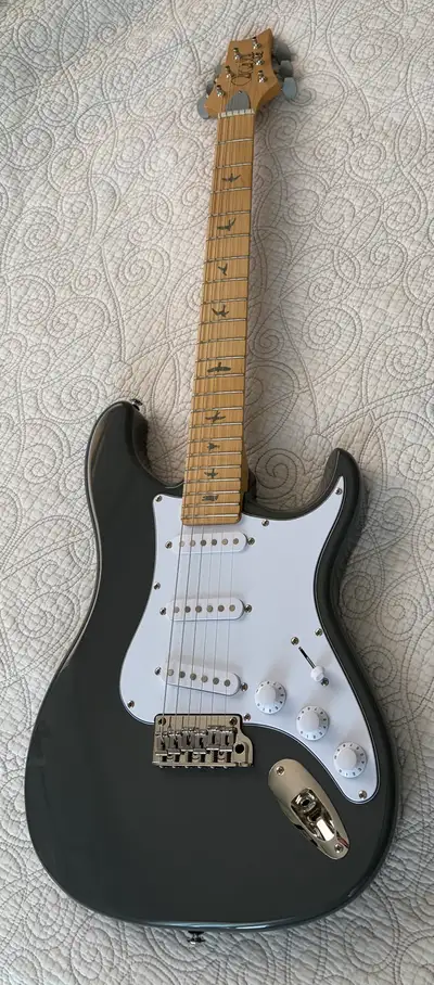 PRS SE Silver Sky, View more