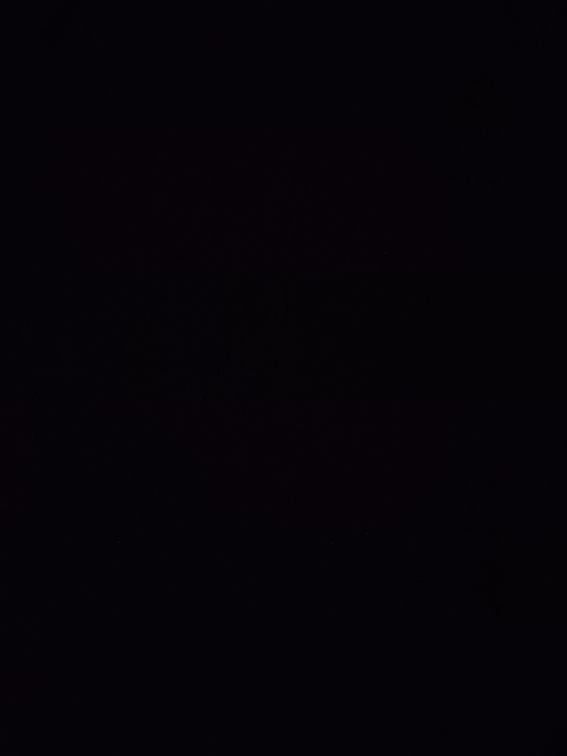 2 ROOMS FOR RENT ON MAIN FLOOR OF THE HOUSE Room Rentals & Roommates