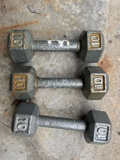 10 lbs weights, View more