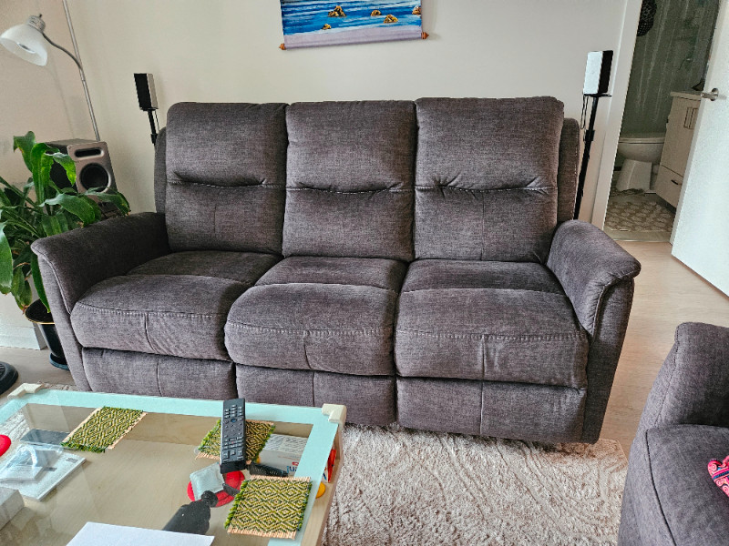 Apartment Size Furnitures, Dining Table & (reduced) Couches