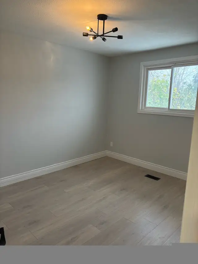 Renovations and Repairs64617624871043123