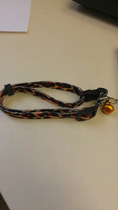 Cat collar, View more