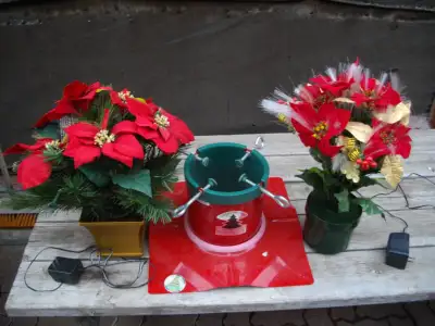 Christmas poinsettias fiber optic, View more