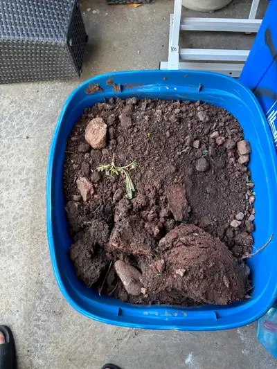 Garden Dirt and Rocks, View more
