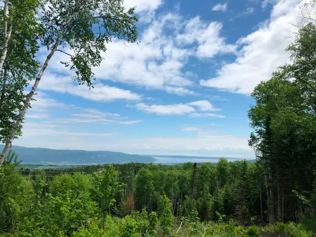 Terrain a vendre Baie St-Paul in Land for Sale in Québec City - Image 2
