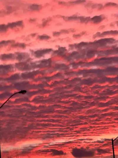 Hiring: Experienced South Indian Chef (Immediate Start) We are currently seeking a skilled and exper...