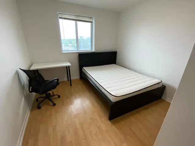 Room for Rent - Erindale/Mississauga (UTM) - Nov 1 in Room Rentals & Roommates in Mississauga / Peel Region - Image 2