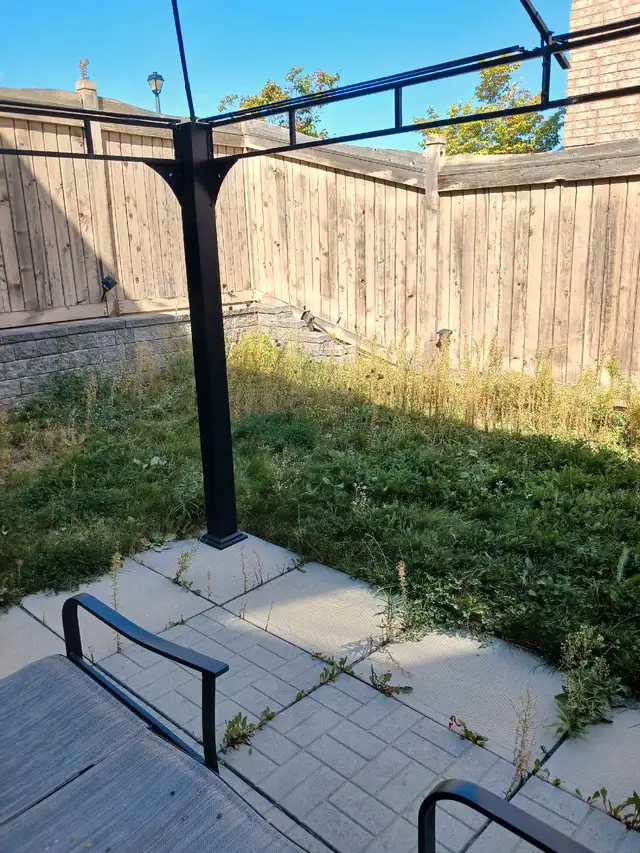 ෴෴ Lawn + Garden ෴෴ in Plants, Fertilizer & Soil in Mississauga / Peel Region - Image 4