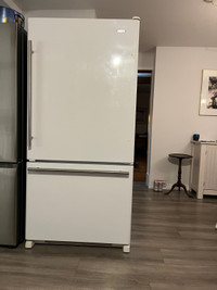 Immaculate Condition Refrigerator 