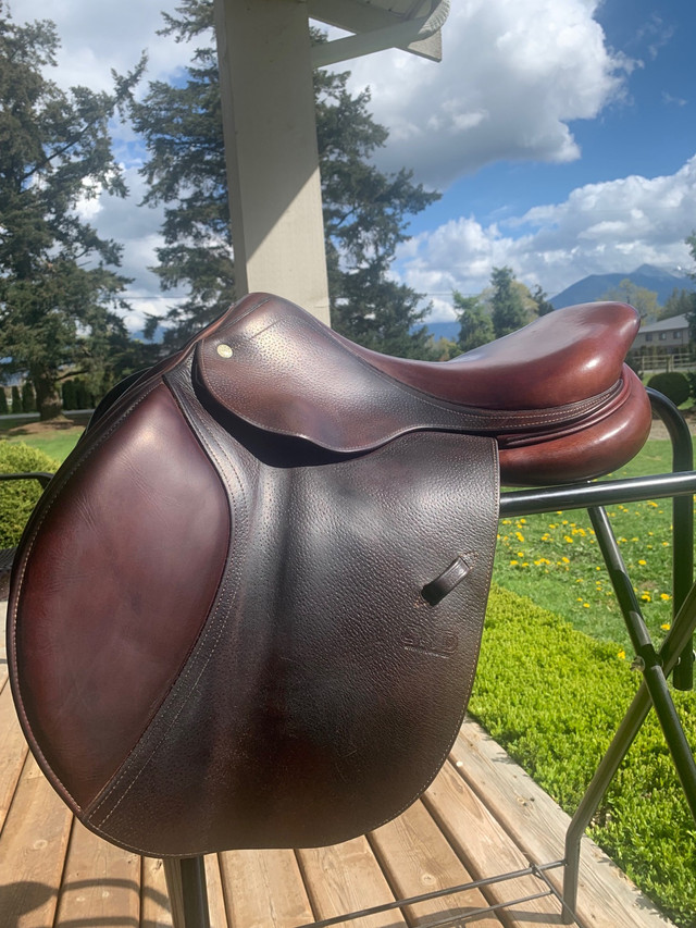 CWD jumping saddle  in Hobbies & Crafts in Chilliwack