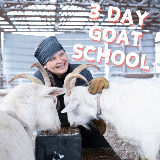 Three Day Goat School in Classes & Lessons in Brandon