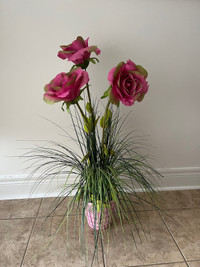 Decorative pink flower plant