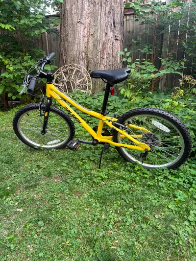 RALIEGH VIBE 20 INCH BIKE $329 BRAND NEW NEVER USED, View more