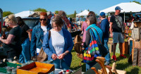 Outdoor Antique Show - Cookstown