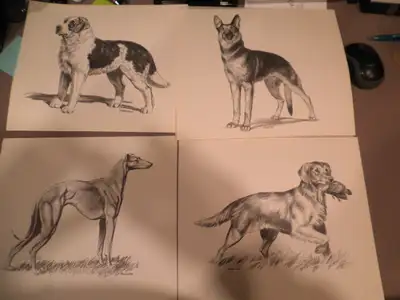 Old dog prints, View more