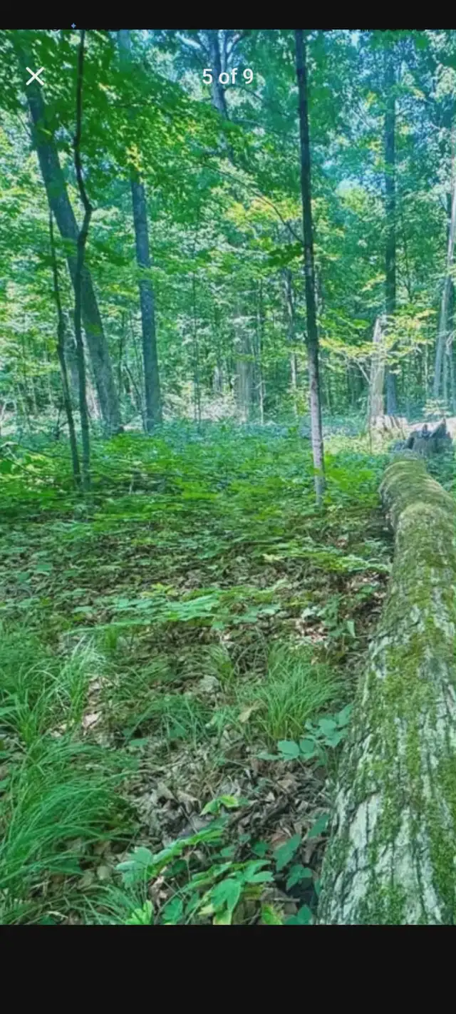 Stunning 21 acre building lot for sale in Land for Sale in Ottawa - Image 6