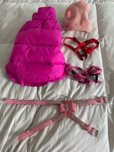 XS Girl Dog Lot, lots of Brand New items, would fit a small dog , View more