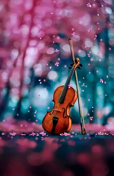 Music instrumental instructor ($30 an hour), View more