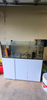 Rimless 60 gallon tank