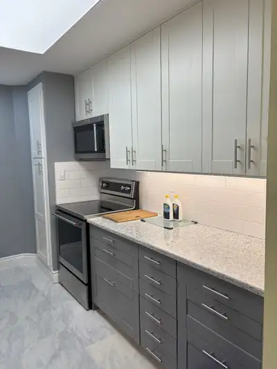 1 Bedroom Condo to rent