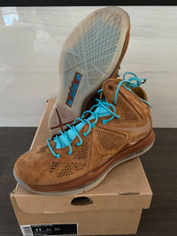 Brand New DS Nike Lebron X Ext Hazelnut sz 11 