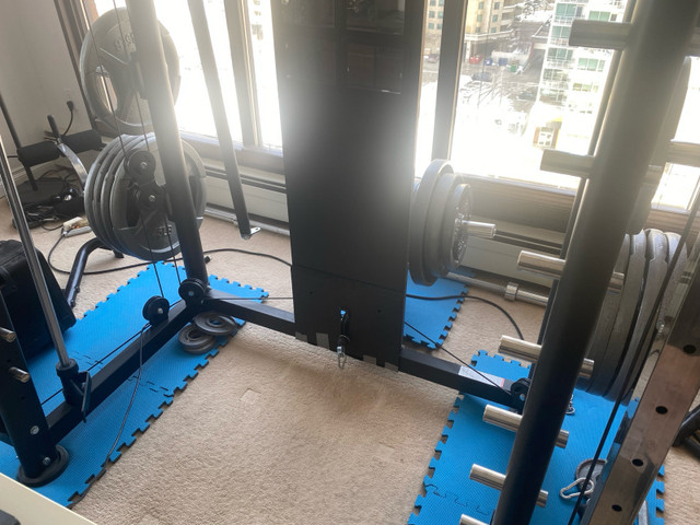 Functional Home Gym - Mint Condition in Exercise Equipment in Calgary - Image 3