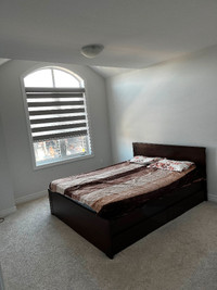 Room for rent $650/- GIRLS ONLY