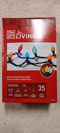For Living - Multi Coloured String Lights 