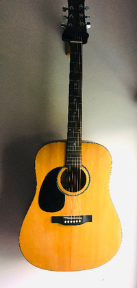 Left Handed Guitar