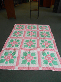 Twin quilt with green leaf and pink border
