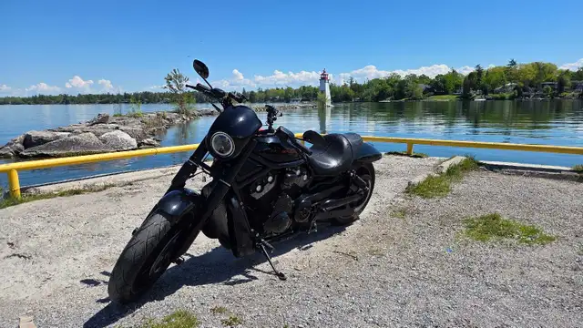 harley-davidson v-rod night in Street, Cruisers & Choppers in Markham / York Region - Image 9