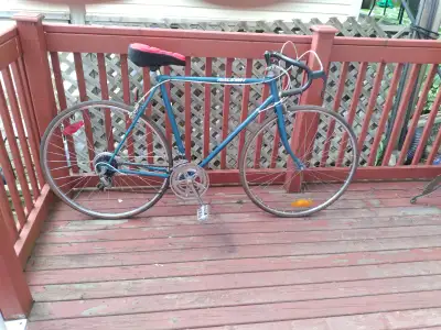 ADULT SIZED BICYCLE, View more