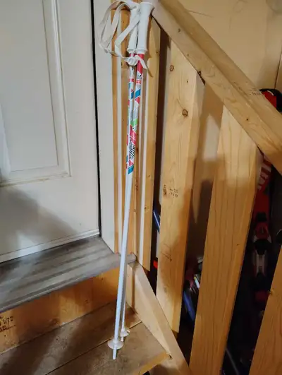 Rossi ski poles 100 cm, View more