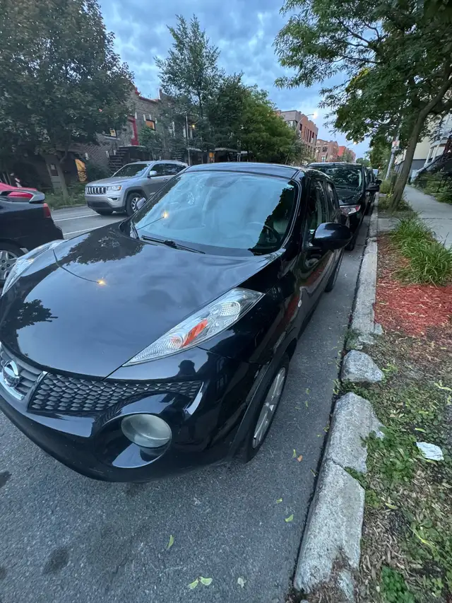 Nissan JUKE 2012605485975145687046