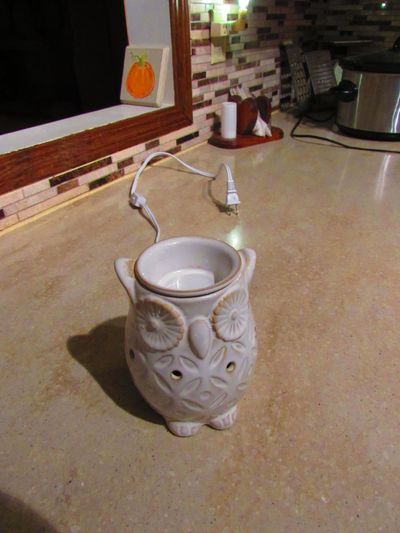 Scented Wax Melt  Owl Night Light, View more