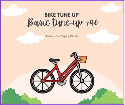 Bike Basic tune-up - $40, View more