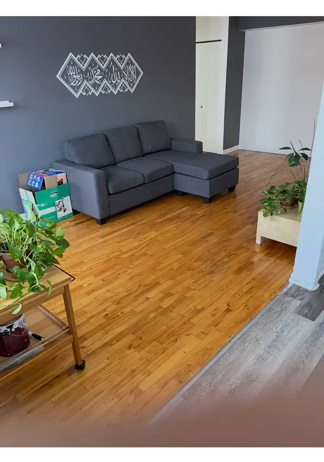 Grande 3 1/2 pour 1 avril