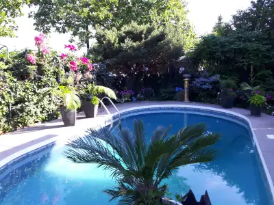 Queensize room in exe. home  with pool \traf, upper middle