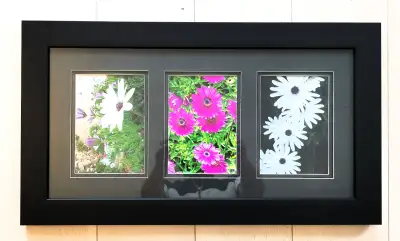 Flowers Painting, View more