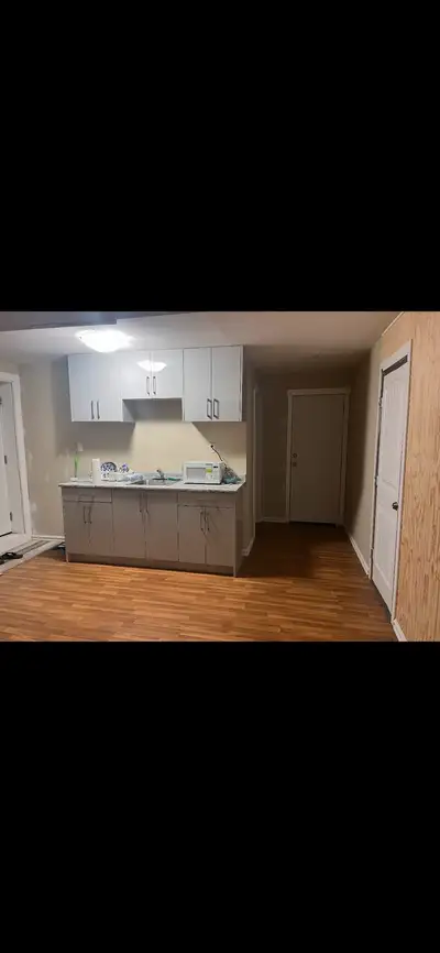 1 bedroom Basemet suite for rent