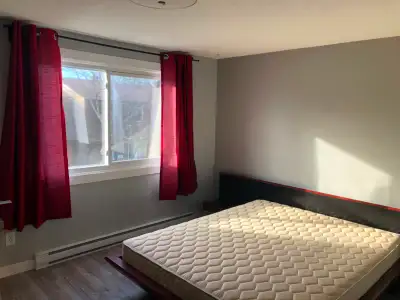 A very big nicely renovated furnished room. There is a double bed with 2 nightstands, a desk; a clos...