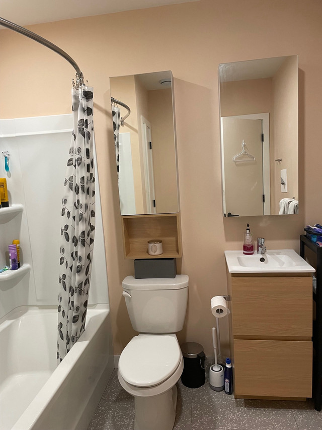 Summer female sublet  in Short Term Rentals in City of Halifax - Image 3