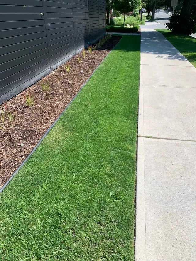 Yard Work in Westboro561546765817630729